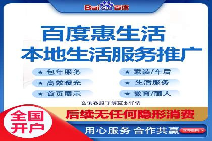百度广告投放策略与效果评估案例